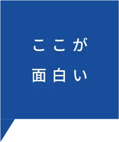 ここが面白い